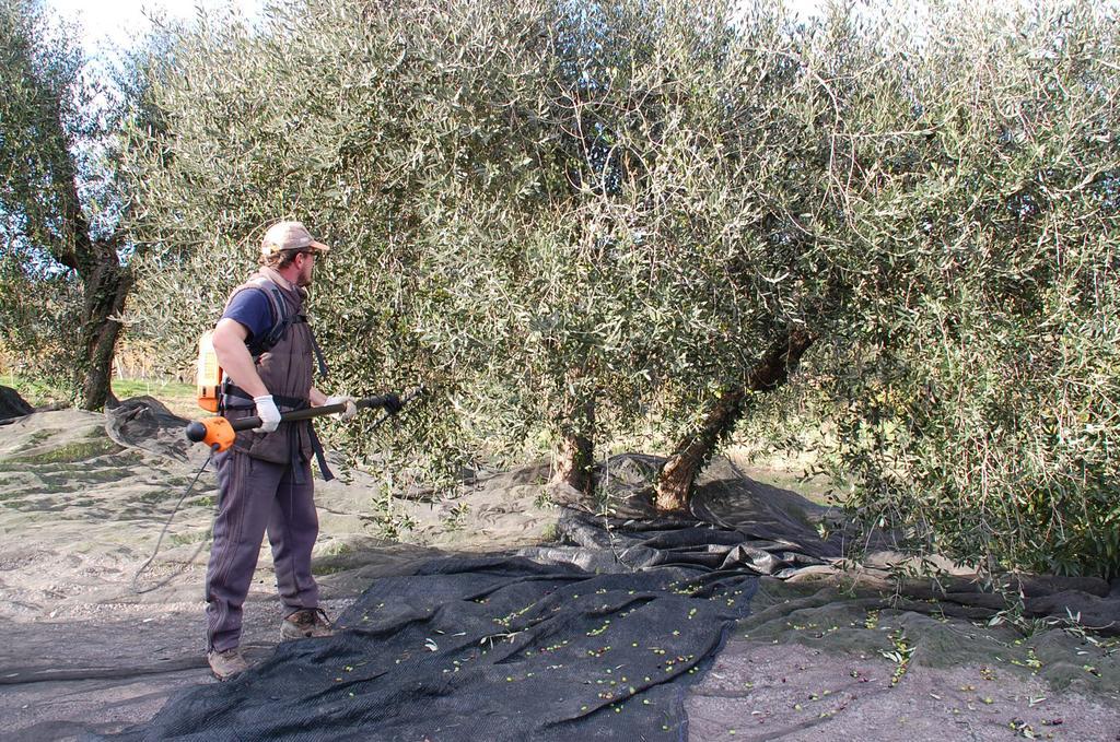 فيلا Due Piani Barberino di Val dʼElsa المظهر الخارجي الصورة